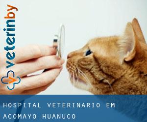 Hospital veterinário em Acomayo (Huanuco)