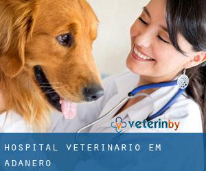 Hospital veterinário em Adanero