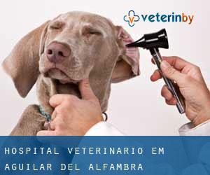Hospital veterinário em Aguilar del Alfambra