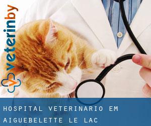 Hospital veterinário em Aiguebelette-le-Lac