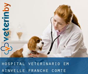 Hospital veterinário em Ainvelle (Franche-Comté)