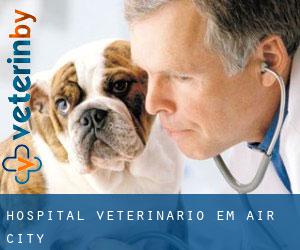 Hospital veterinário em Air City