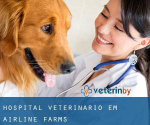 Hospital veterinário em Airline Farms