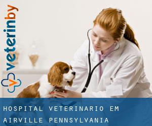 Hospital veterinário em Airville (Pennsylvania)