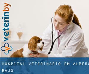 Hospital veterinário em Albero Bajo