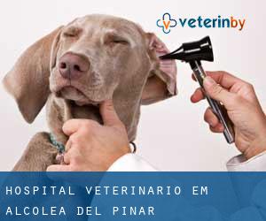 Hospital veterinário em Alcolea del Pinar