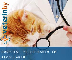 Hospital veterinário em Alcollarín
