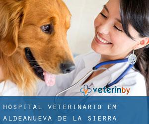 Hospital veterinário em Aldeanueva de la Sierra