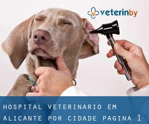 Hospital veterinário em Alicante por cidade - página 1