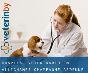 Hospital veterinário em Allichamps (Champagne-Ardenne)