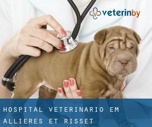 Hospital veterinário em Allières-et-Risset