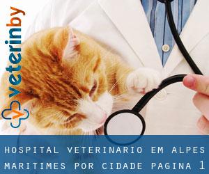 Hospital veterinário em Alpes-Maritimes por cidade - página 1