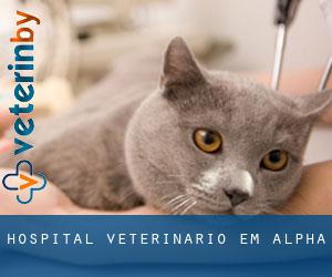 Hospital veterinário em Alpha