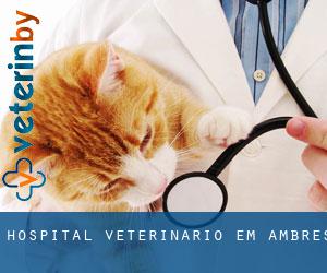 Hospital veterinário em Ambres