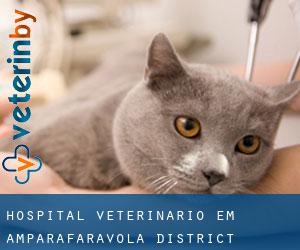Hospital veterinário em Amparafaravola District