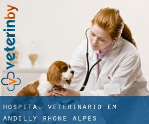 Hospital veterinário em Andilly (Rhône-Alpes)