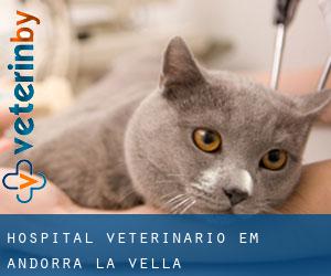 Hospital veterinário em Andorra la Vella
