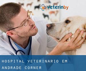 Hospital veterinário em Andrade Corner