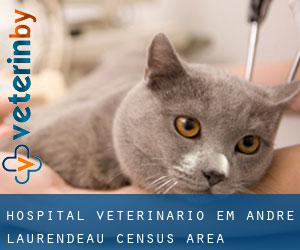 Hospital veterinário em André-Laurendeau (census area)