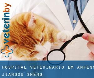 Hospital veterinário em Anfeng (Jiangsu Sheng)