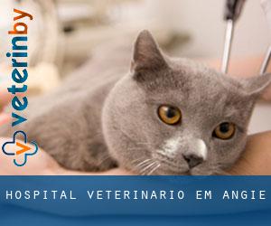 Hospital veterinário em Angie