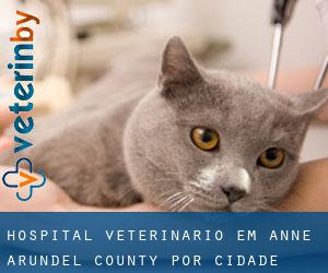 Hospital veterinário em Anne Arundel County por cidade importante - página 2