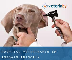 Hospital veterinário em Ansoáin / Antsoain