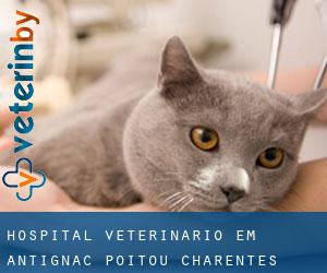 Hospital veterinário em Antignac (Poitou-Charentes)