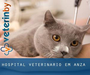 Hospital veterinário em Anza
