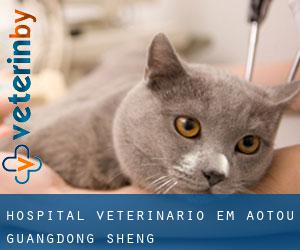 Hospital veterinário em Aotou (Guangdong Sheng)