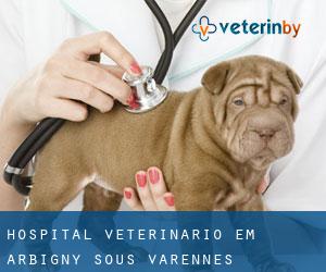 Hospital veterinário em Arbigny-sous-Varennes
