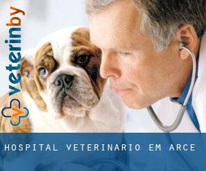 Hospital veterinário em Arce