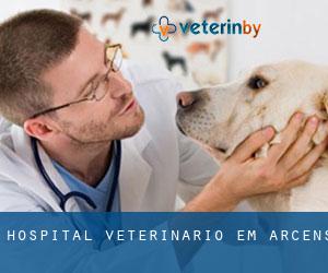 Hospital veterinário em Arcens