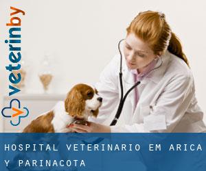 Hospital veterinário em Arica y Parinacota