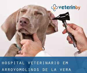 Hospital veterinário em Arroyomolinos de la Vera