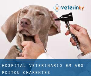 Hospital veterinário em Ars (Poitou-Charentes)