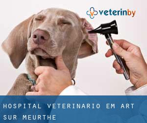Hospital veterinário em Art-sur-Meurthe