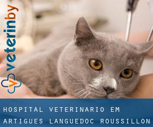 Hospital veterinário em Artigues (Languedoc-Roussillon)