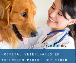Hospital veterinário em Ascension Parish por cidade importante - página 2