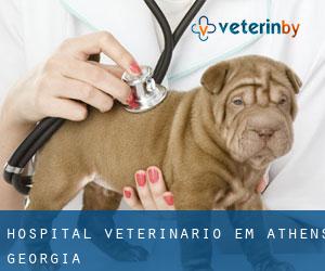 Hospital veterinário em Athens (Georgia)