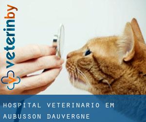 Hospital veterinário em Aubusson-d'Auvergne