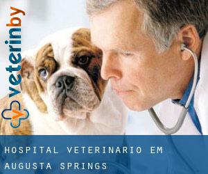 Hospital veterinário em Augusta Springs