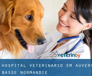 Hospital veterinário em Auvers (Basse-Normandie)