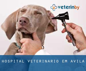 Hospital veterinário em Avila