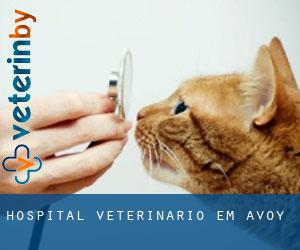 Hospital veterinário em Avoy