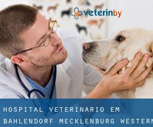 Hospital veterinário em Bahlendorf (Mecklenburg-Western Pomerania)