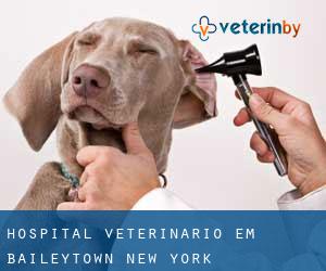Hospital veterinário em Baileytown (New York)