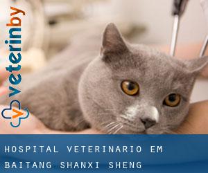 Hospital veterinário em Baitang (Shanxi Sheng)