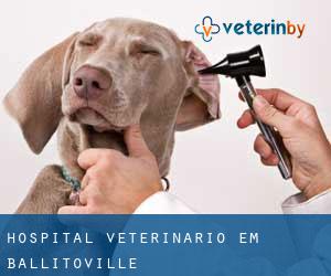 Hospital veterinário em Ballitoville