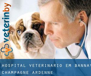 Hospital veterinário em Bannay (Champagne-Ardenne)
